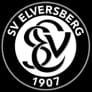 sv elversberg logo